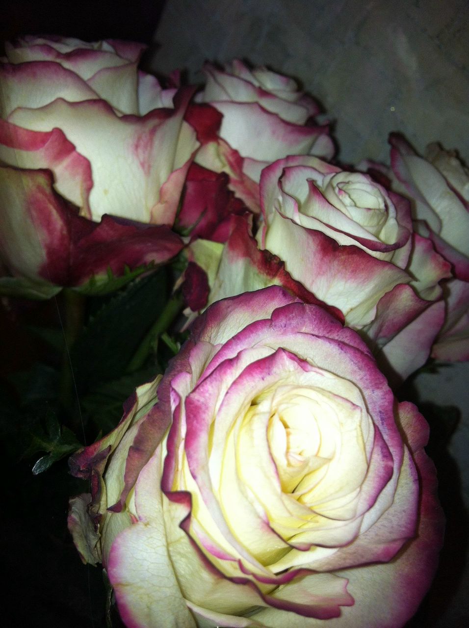 Аліна Воловичева | 