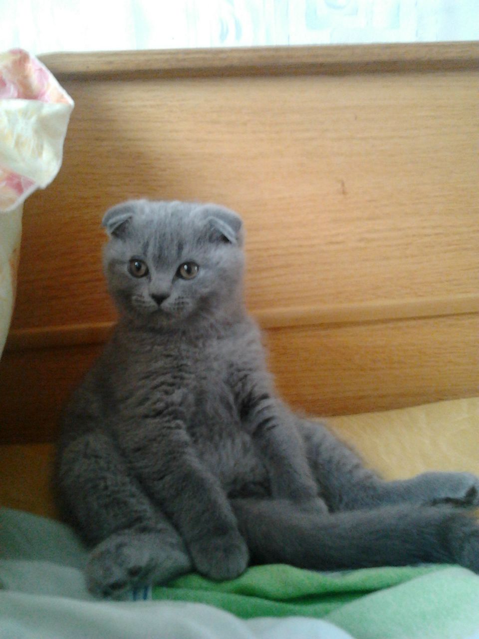 Марина Новикова | Минск