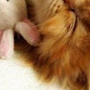 №60, Виталина Мач, Харьков №60, Виталина Мач, Харьков