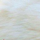 №91, Виталина Мач, Харьков №91, Виталина Мач, Харьков