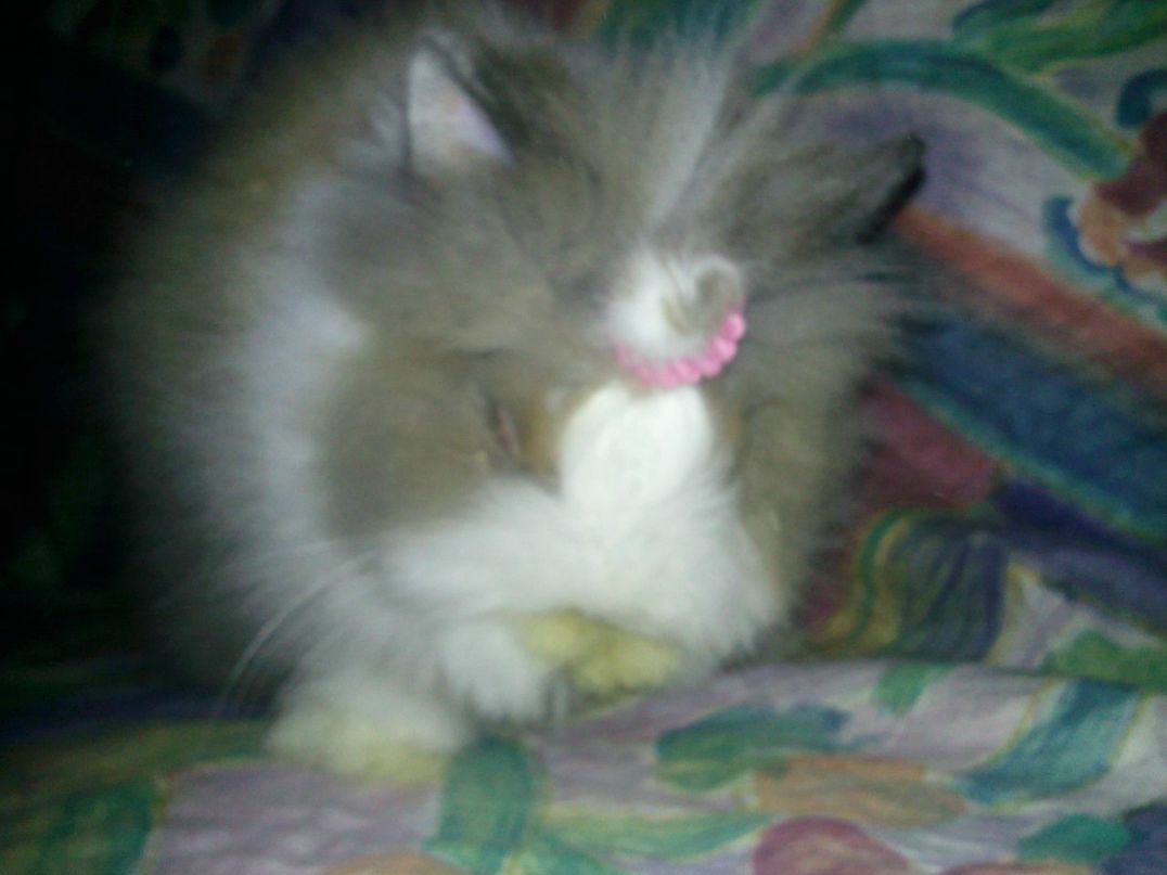 Юлия Пупкова | Киев