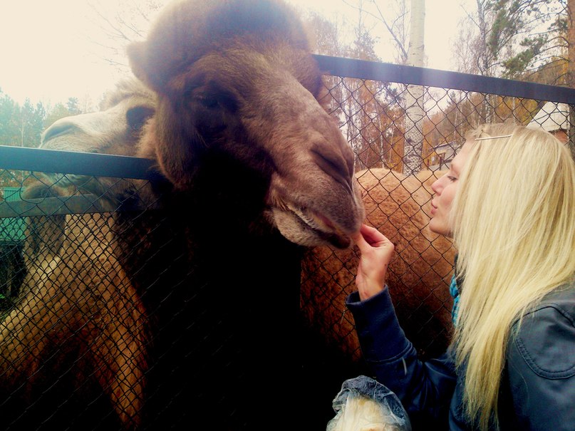 Алёна Рыбкова | Красноярск