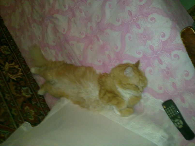 Машуля Бондаренко ⊰°•be with me•°⊱ | Череповец