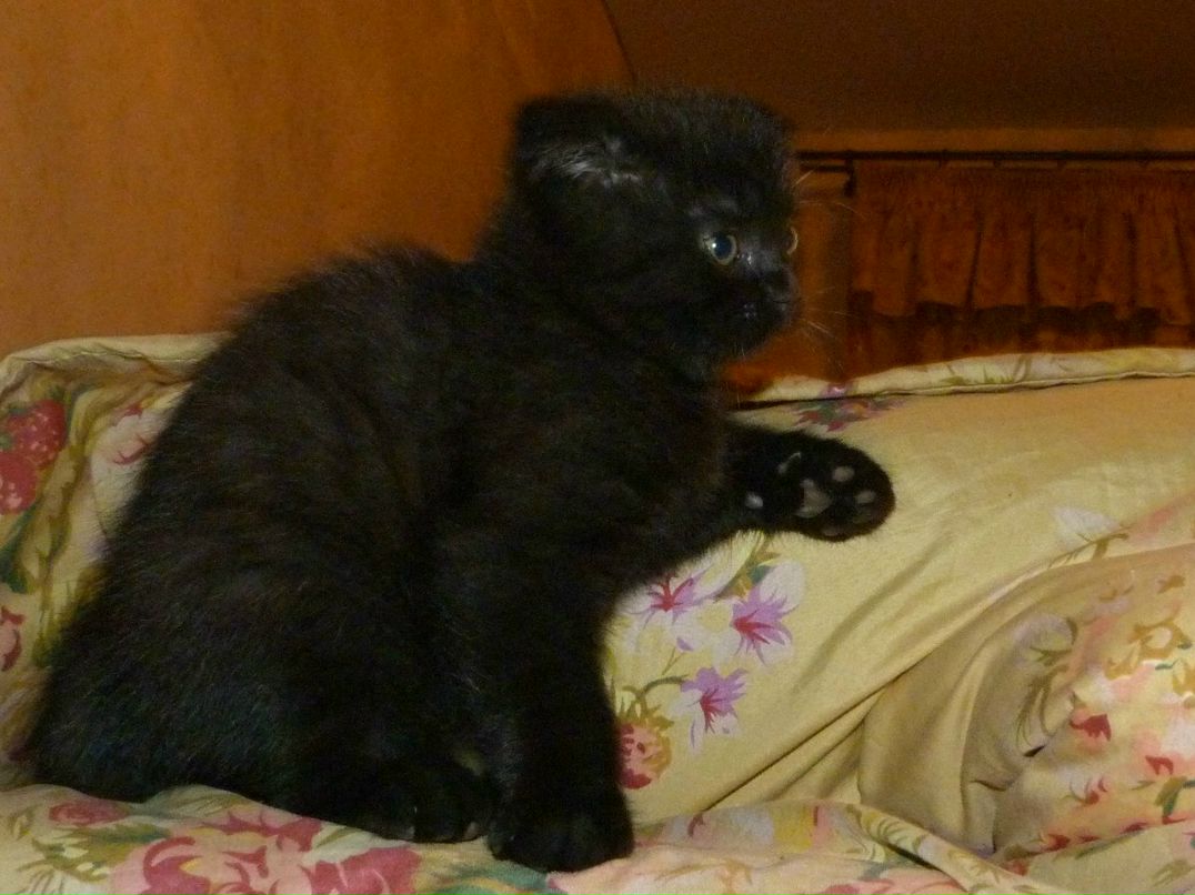 Танюшка Шаламова | Москва