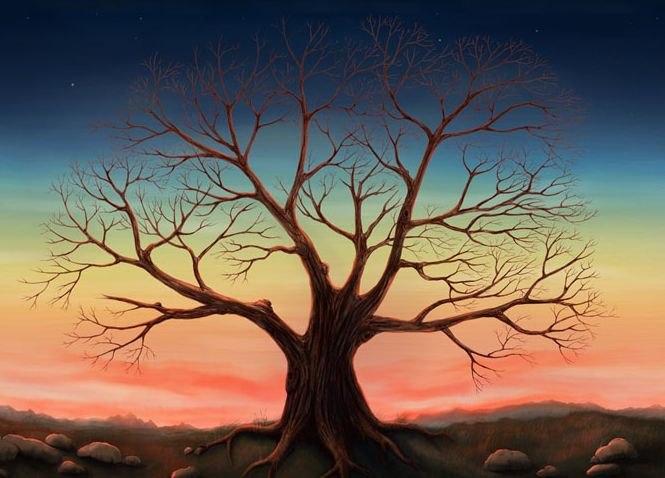 Аня Лащенко | 