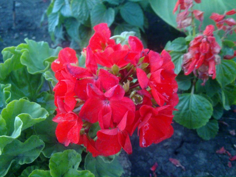 Марсель Минапов | Казань