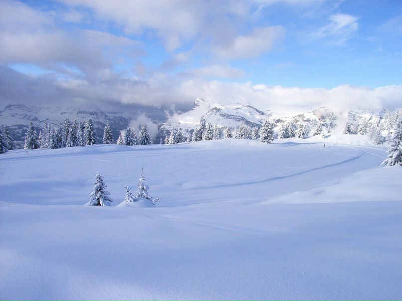 Александр Пономарев | Москва