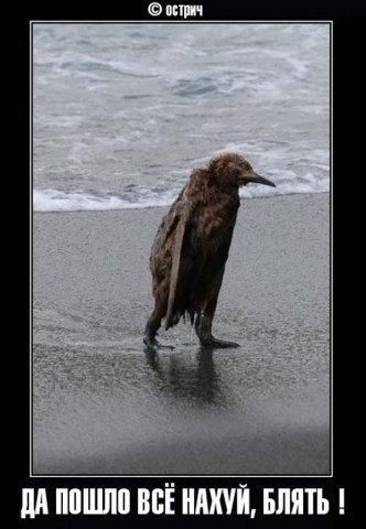 №32, Владимир Егоров, Санкт-Петербург, Россия №32, Владимир Егоров, Санкт-Петербург, Россия