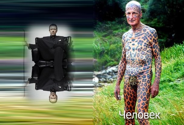 Дмитрий Ващенко | Кривой Рог