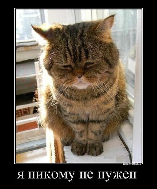 Илья Куликов | Москва