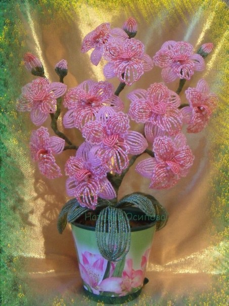 Елена Гвоздева | Энгельс