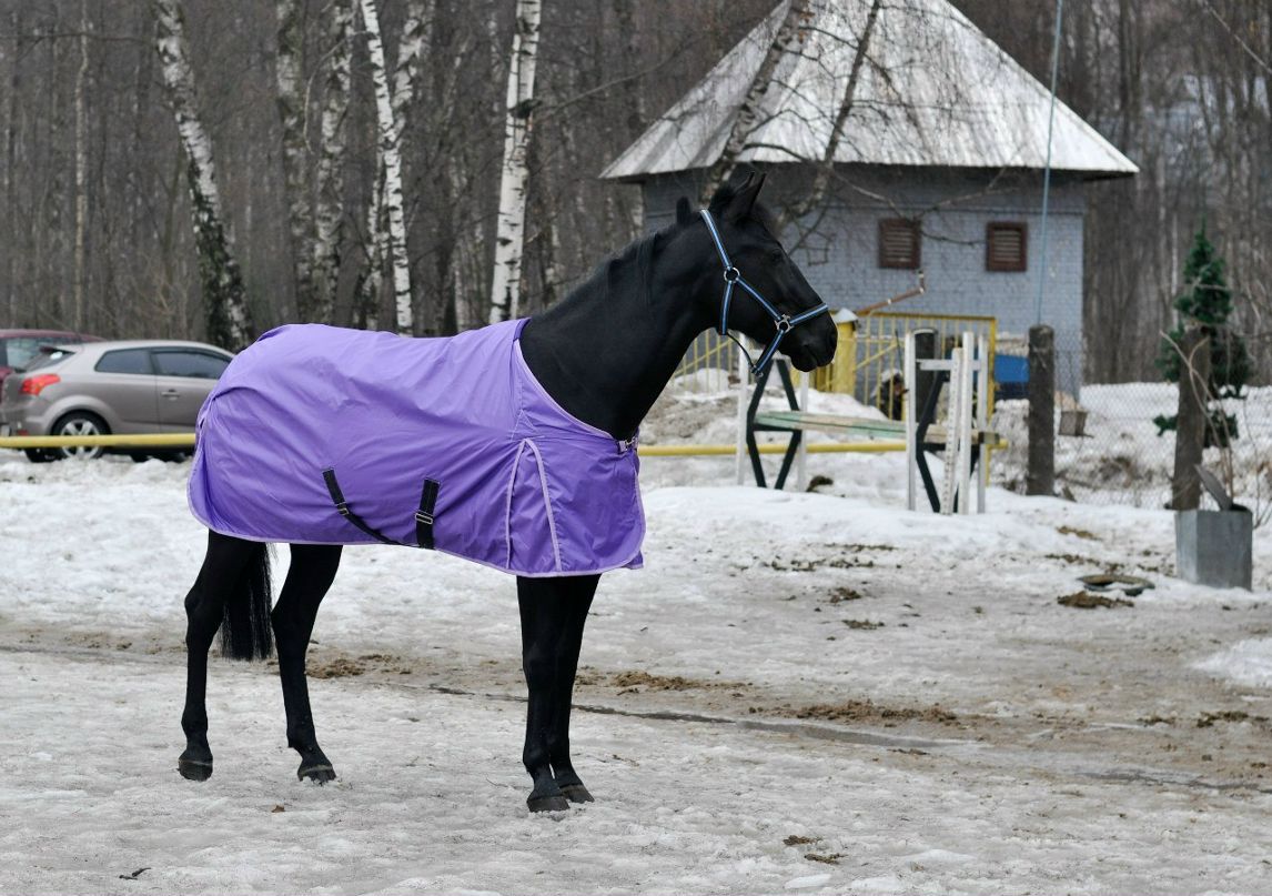 Лида Беркут | 