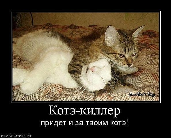 №3, Иван Елисеев, 33 года №3, Иван Елисеев, 33 года