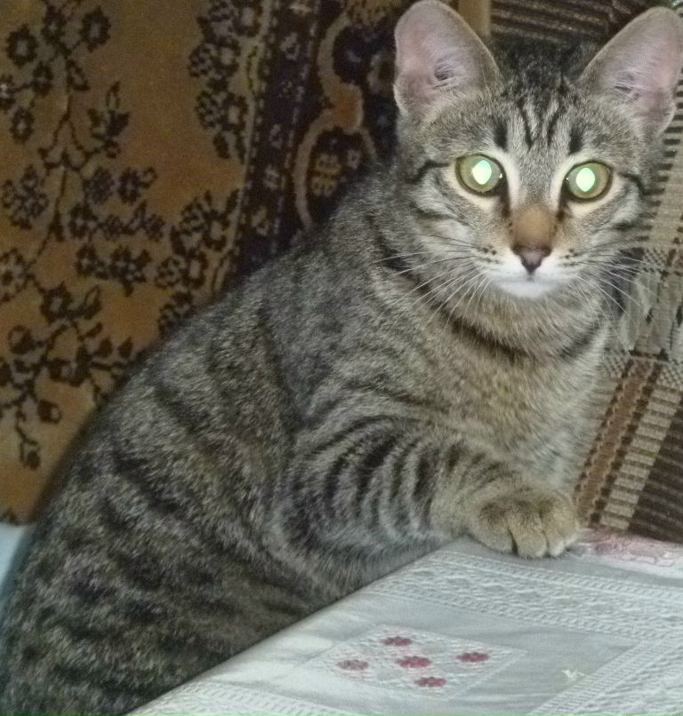 Анастасия Чалкова | 