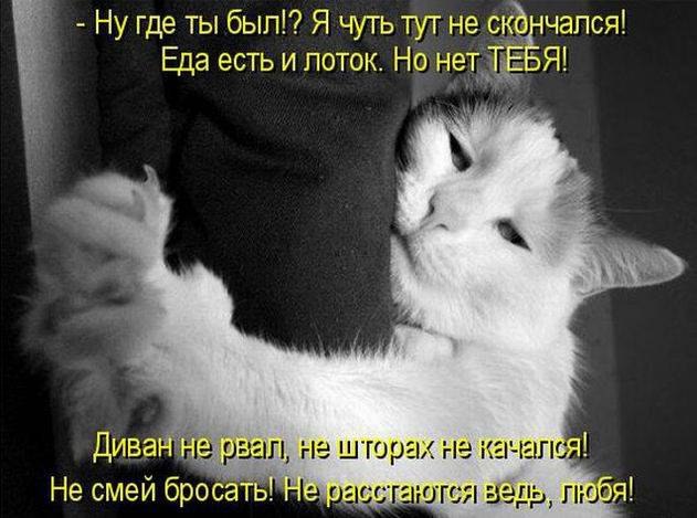 Любовь Макаренко | Санкт-Петербург