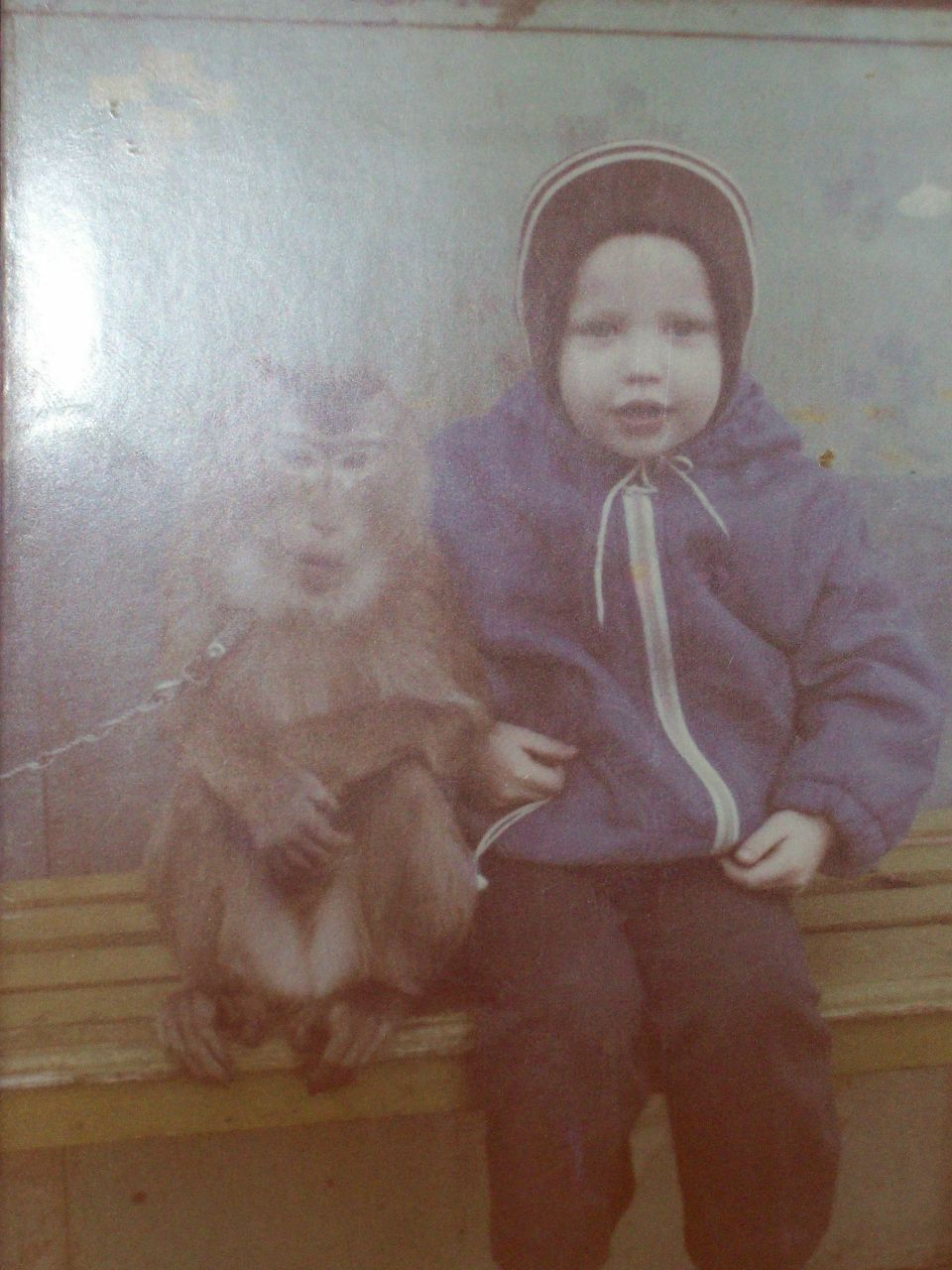 Вадим Богушевич | Сморгонь