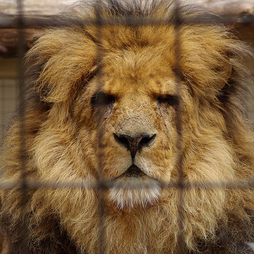 Grigoryev Nikolay | Москва