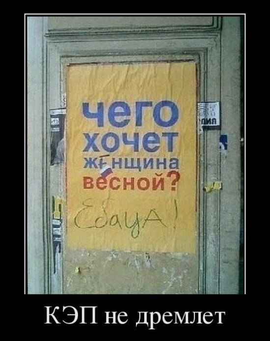 Олег Шевченко | Черкассы