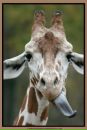 №12 Светлана Чевская : профиль, фото, статус - ВКонтакте