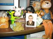 №24 Светлана Михеева 22.06.1955: профиль, фото, статус - ВКонтакте