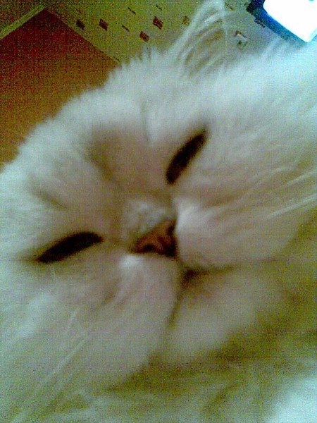 Алёна Важенина Vazhenka | Санкт-Петербург