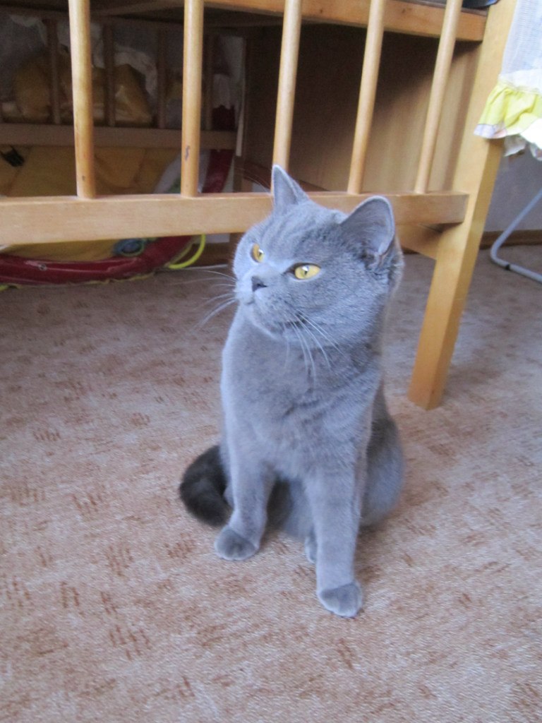 Jekaterina Vorkal | Таллин