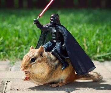 Роман Шутиш | Челябинск