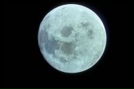 №39 Юлия Григорьева 01.02.1988: профиль, фото, статус - ВКонтакте