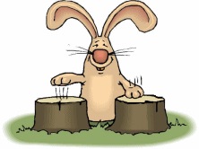 №7, Полина Артюшина, 26 лет, Краснодар №7, Полина Артюшина, 26 лет, Краснодар