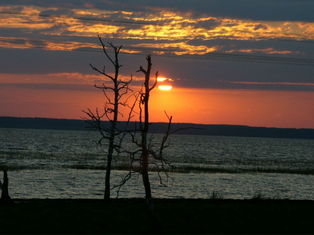 Ирина Рыжая | Курган