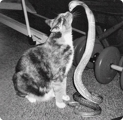 Олег Гурков | Рогачев