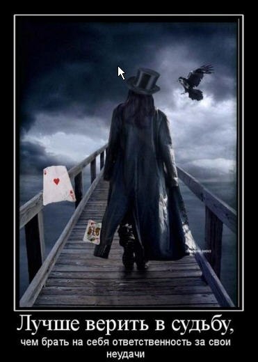 Алексей Шараев | Новосибирск