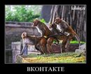 Александр Мокрушин, Глазов, Россия, 12.03