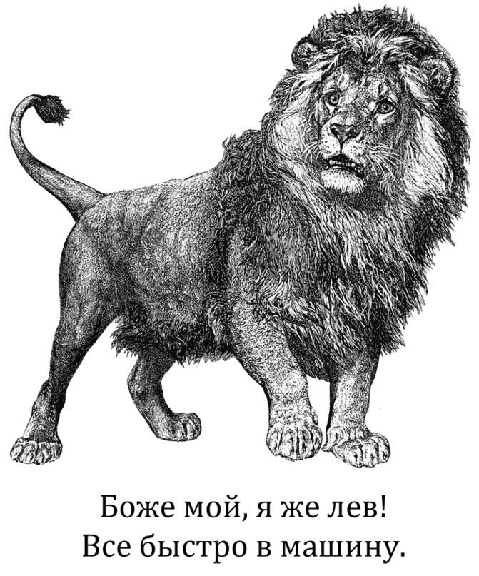 Вера Лёвкина | Москва