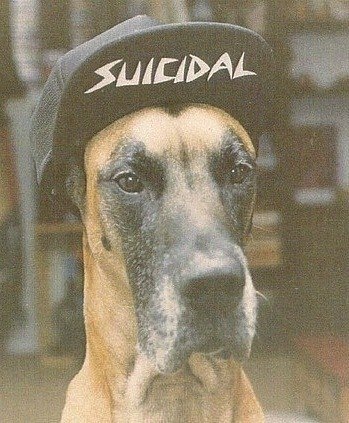 Илья Маслов | 