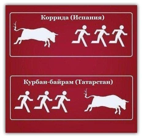 Эльдар Валиев | Алматы