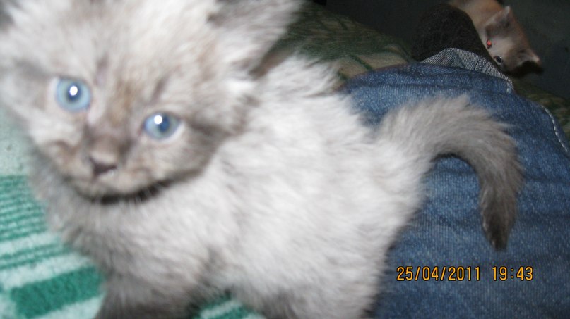 Валерия Герасимова | Самара