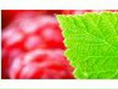 Марина Якунина-Едунова ☆ ★ ☆ ★ ☆ | Москва