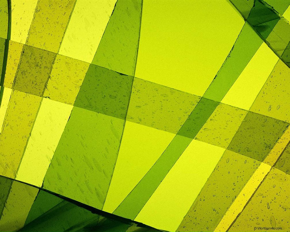 Ксения Чемерис | Сумы