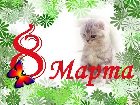 Наталія Кармазин Iгорiвна | Золочев