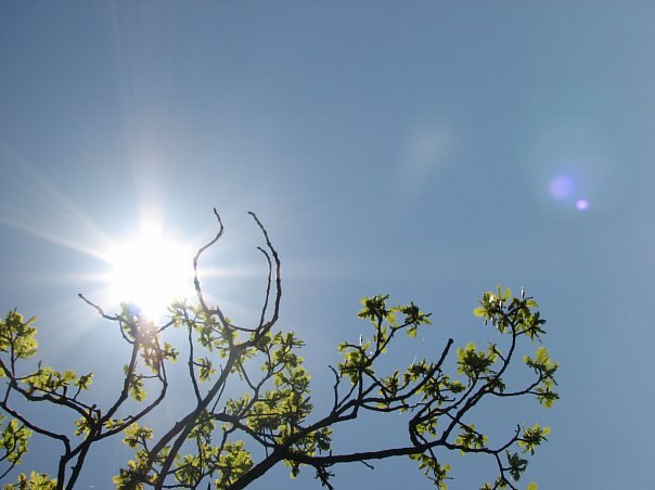 Татьяна Александровна | Самара