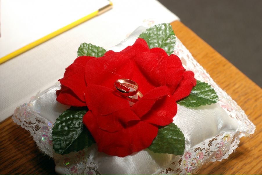 №8, Любовь Плотка, Днепр (Днепропетровск) №8, Любовь Плотка, Днепр (Днепропетровск)