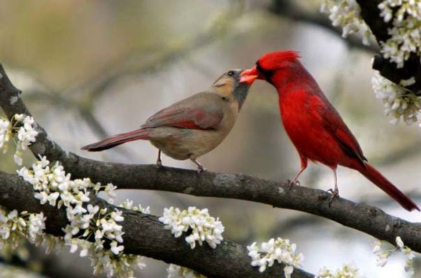 №2, Елизавета Ланская, 36 лет, Москва №2, Елизавета Ланская, 36 лет, Москва