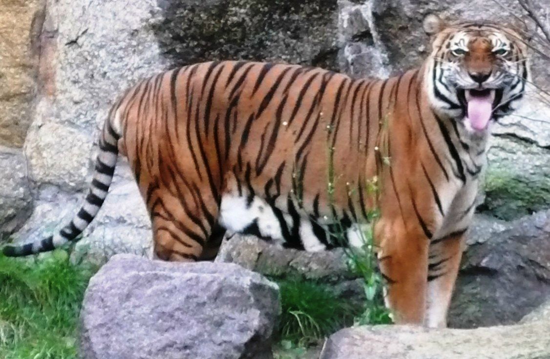 Настя Александрова | Чебоксары