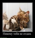 №38 Юлечка Чумуркина 31.12.1988: профиль, фото, статус - ВКонтакте №38 Юлечка Чумуркина 31.12.1988: профиль, фото, статус - ВКонтакте