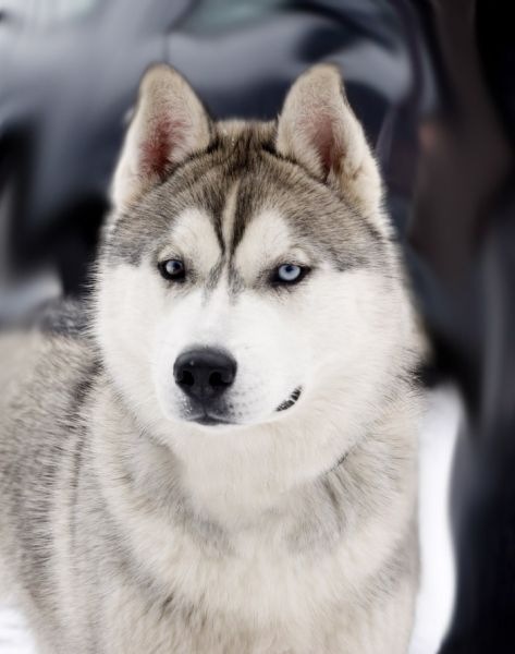 №116, Анна Ковалева Колыхалова, 33 года, Бийск №116, Анна Ковалева Колыхалова, 33 года, Бийск