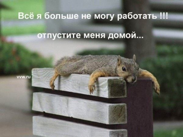 №5, Алёна Зубкова, 36 лет, Киев №5, Алёна Зубкова, 36 лет, Киев