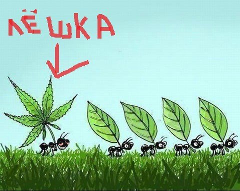 №90, Алексей Белокуров, Санкт-Петербург №90, Алексей Белокуров, Санкт-Петербург