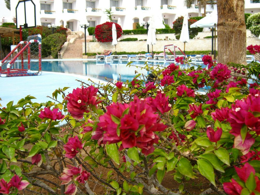 Юлия Соловьева | Шахтерск