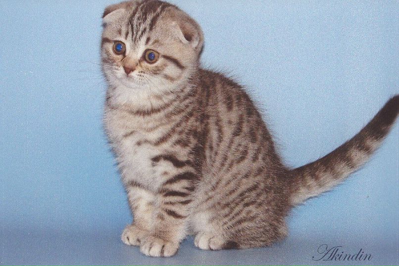 Анна Жукова | Санкт-Петербург